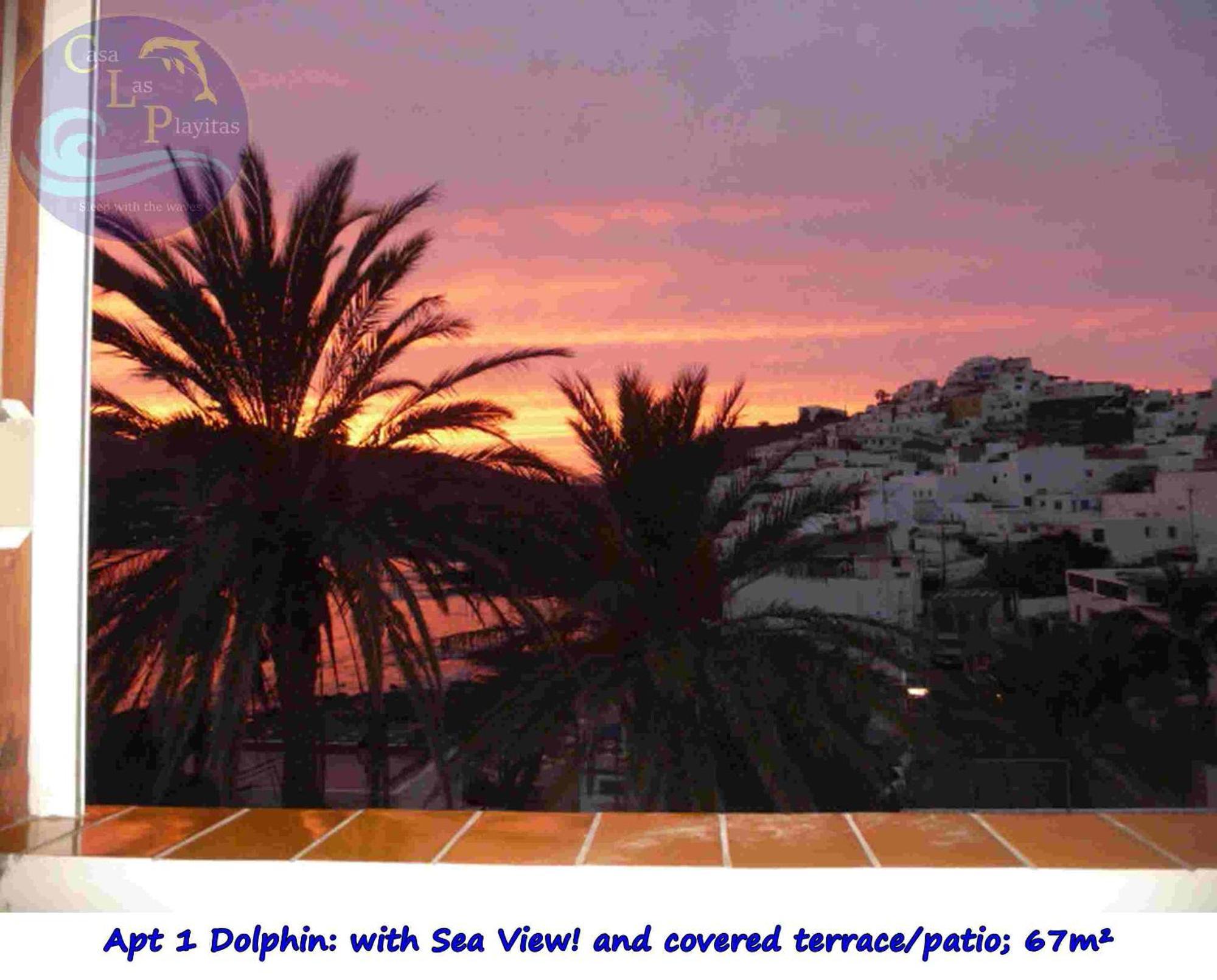 Casa Las Playitas -Clp- Best Sea View - In 1 Minute Ocean Las Playas Esterno foto