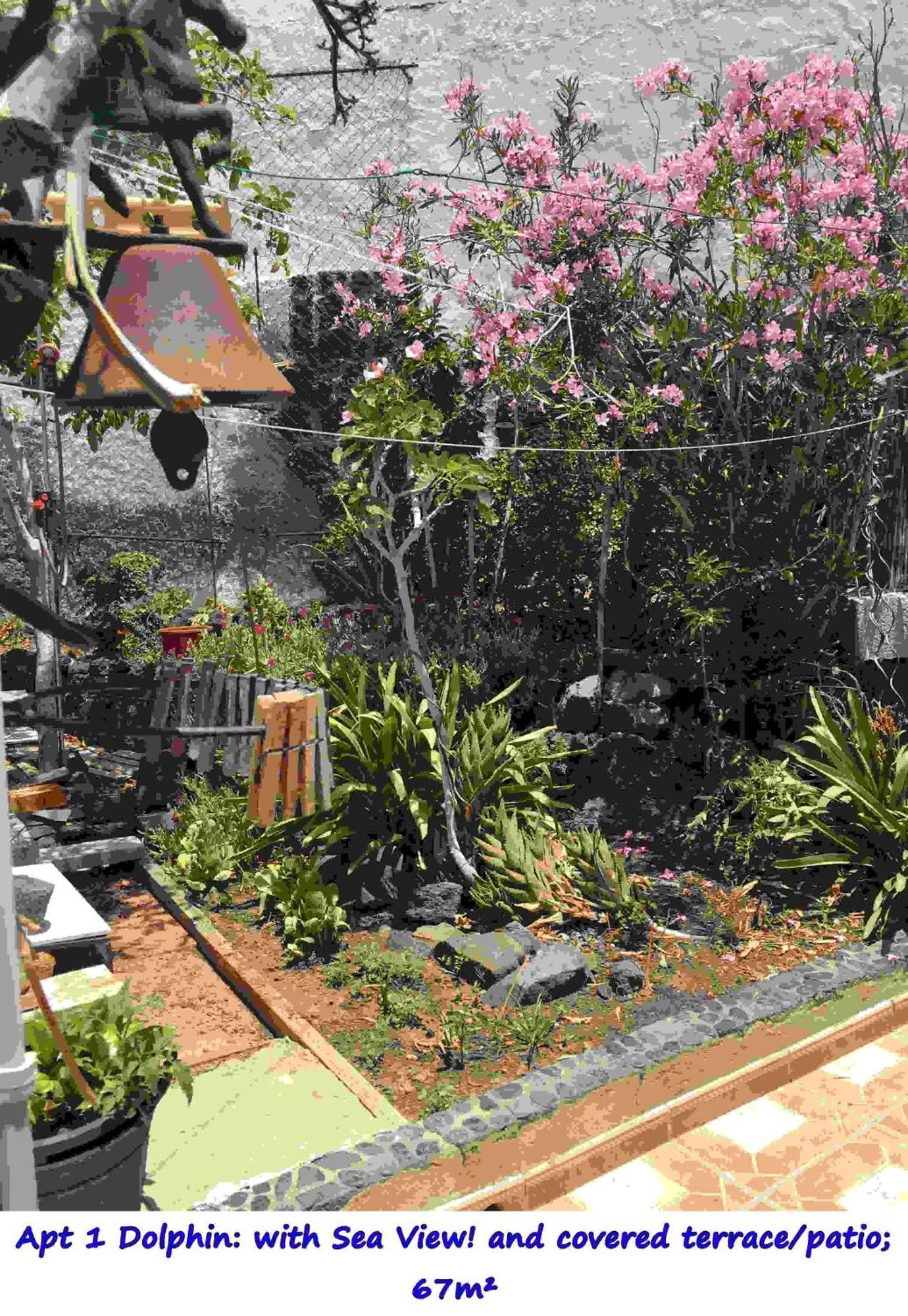 Casa Las Playitas -Clp- Best Sea View - In 1 Minute Ocean Las Playas Esterno foto
